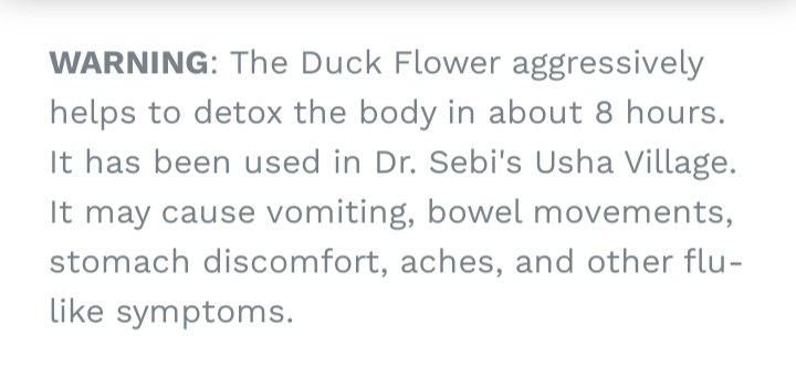 Can Duck Flower Kill You? detox dangers & death side effects - Scripted Soul